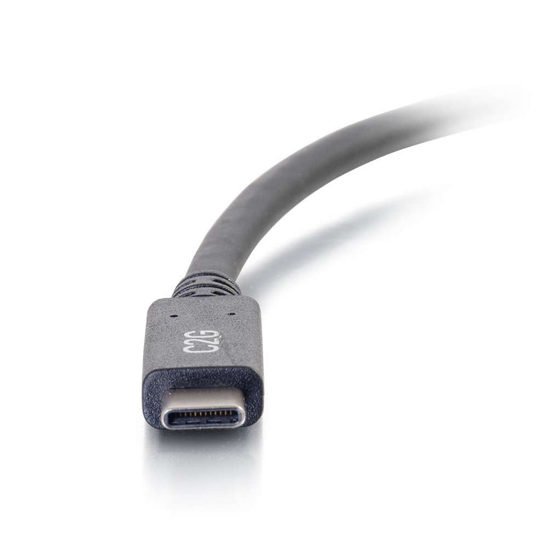USB-C Male to USB-A Male Cable (3')